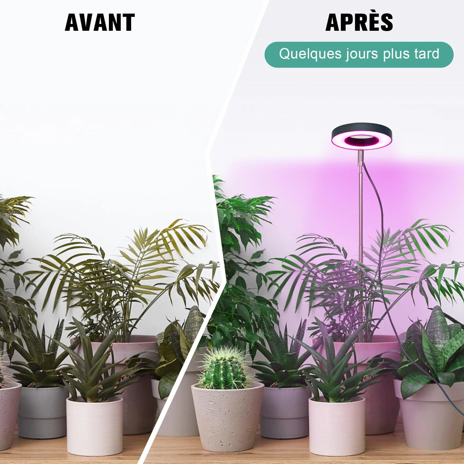 Lampe Plante Spectre Complet Réglable Hauteur Minuterie 3/9/12h 10 Luminosité 3 Modes Lumière 2-Tête pour Semis Succulentes Orchidée
