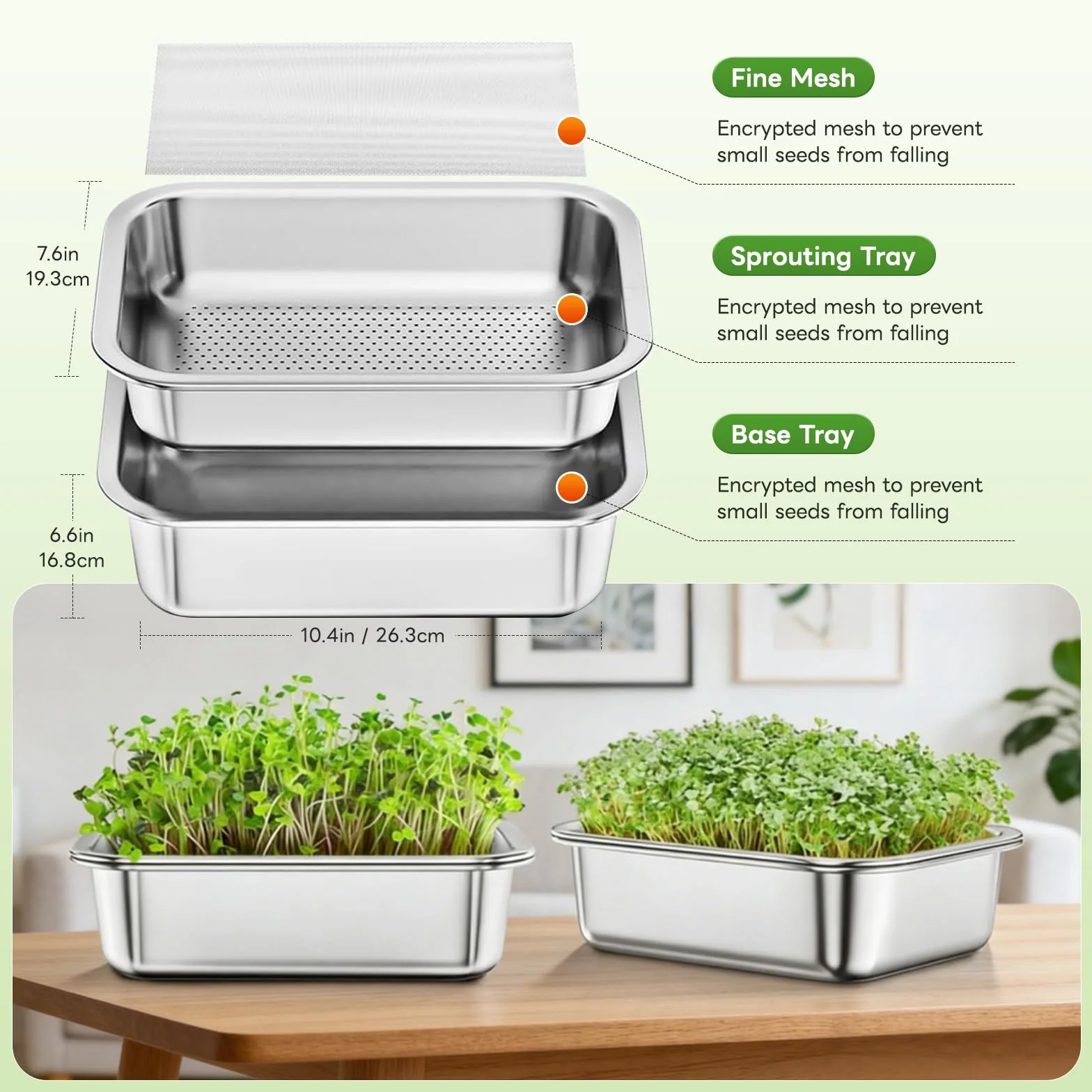 Germoir pour Graines à Germer Acier Inoxydable 26 x 19 cm Réutilisable Kit Germination Professionnel