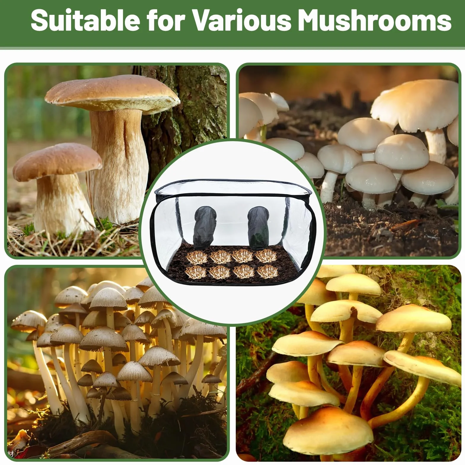 Tente de culture de champignons Still Air Box 90 x 60 x 60 cm transparente pliable avec gants