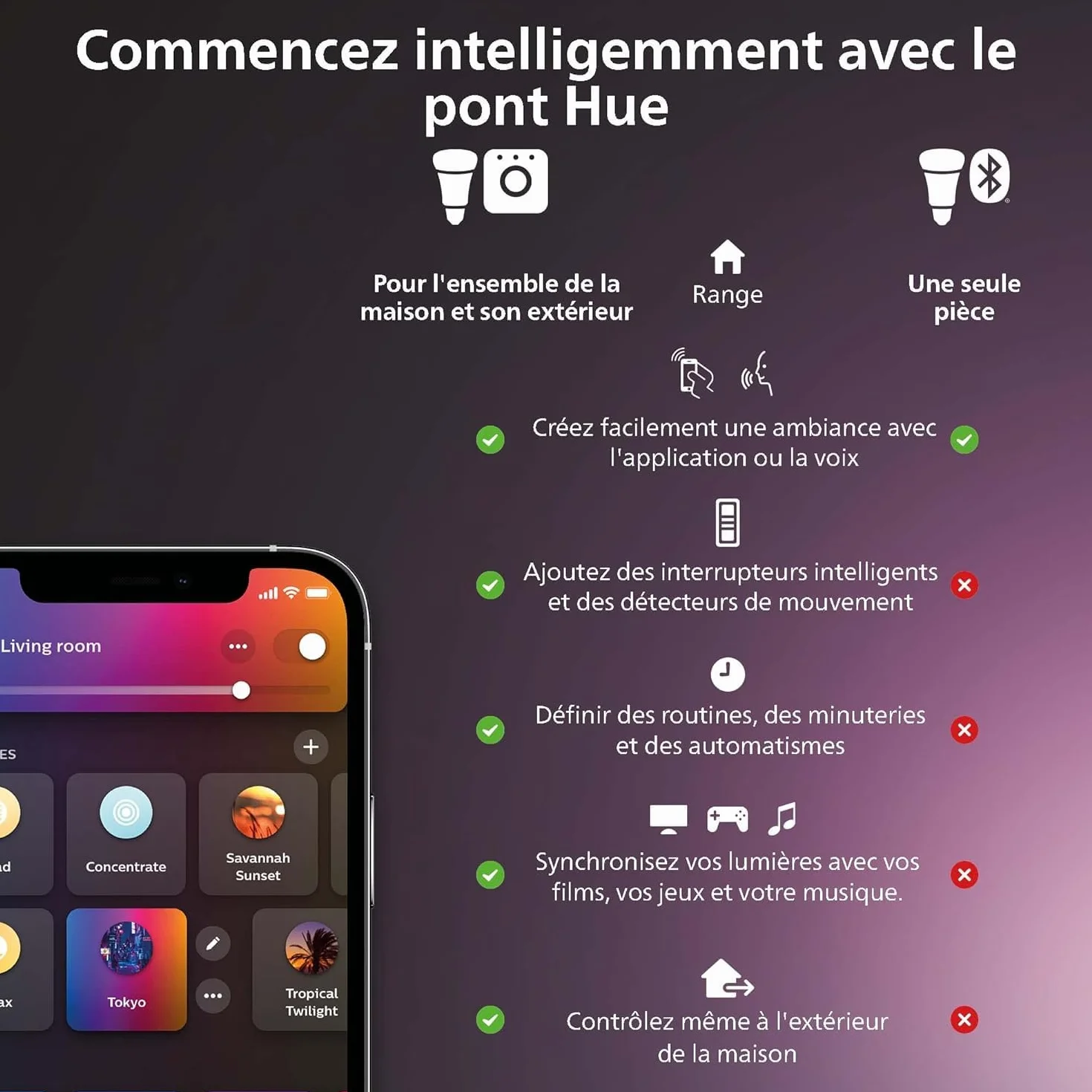 Philips Hue, capteur de Mouvement extérieur, Accessoire d'éclairage Intelligent pour Le contrôle de la lumière extérieure, sans Fil, Noir