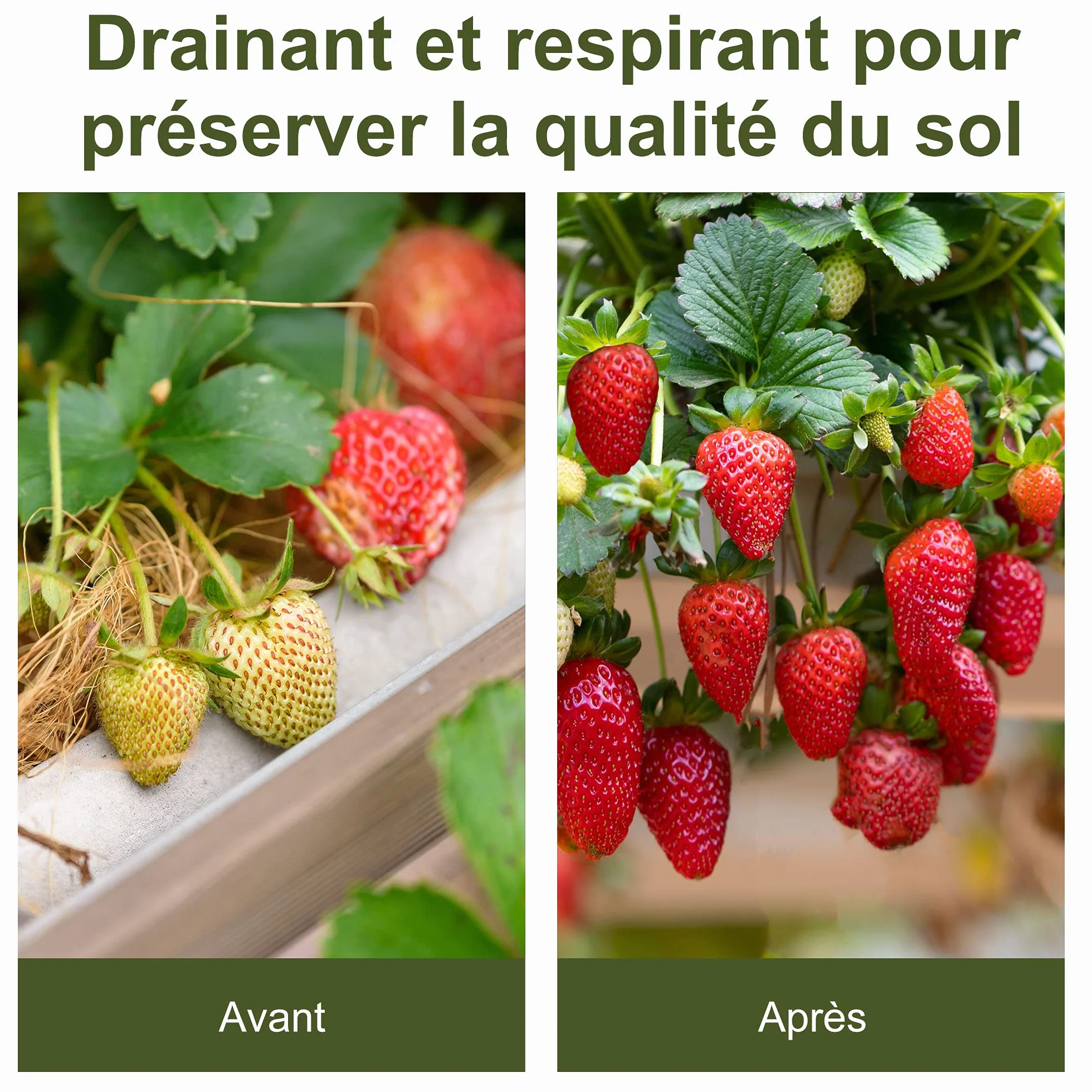 Outsunny Toile de Paillage Anti Mauvaises Herbes 100 g/m² Indéchirable Perméable Anti UV 50L x 2l m PP Noir Vert