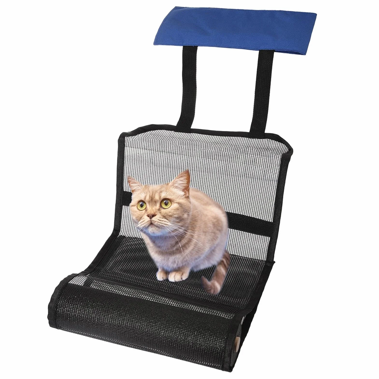 Rampe Animaux Piscine Tissu Oxford 2 Pack, Rampe De Sauvetage pour Chats Chiots