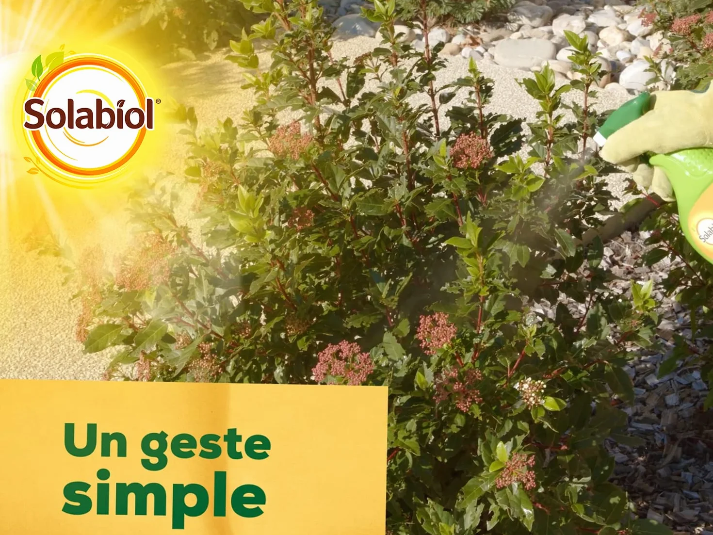 SOLABIOL Insecticide Anti Cochenilles Pucerons Acariens Pyrale Buis 750ml Prêt à l'Emploi
