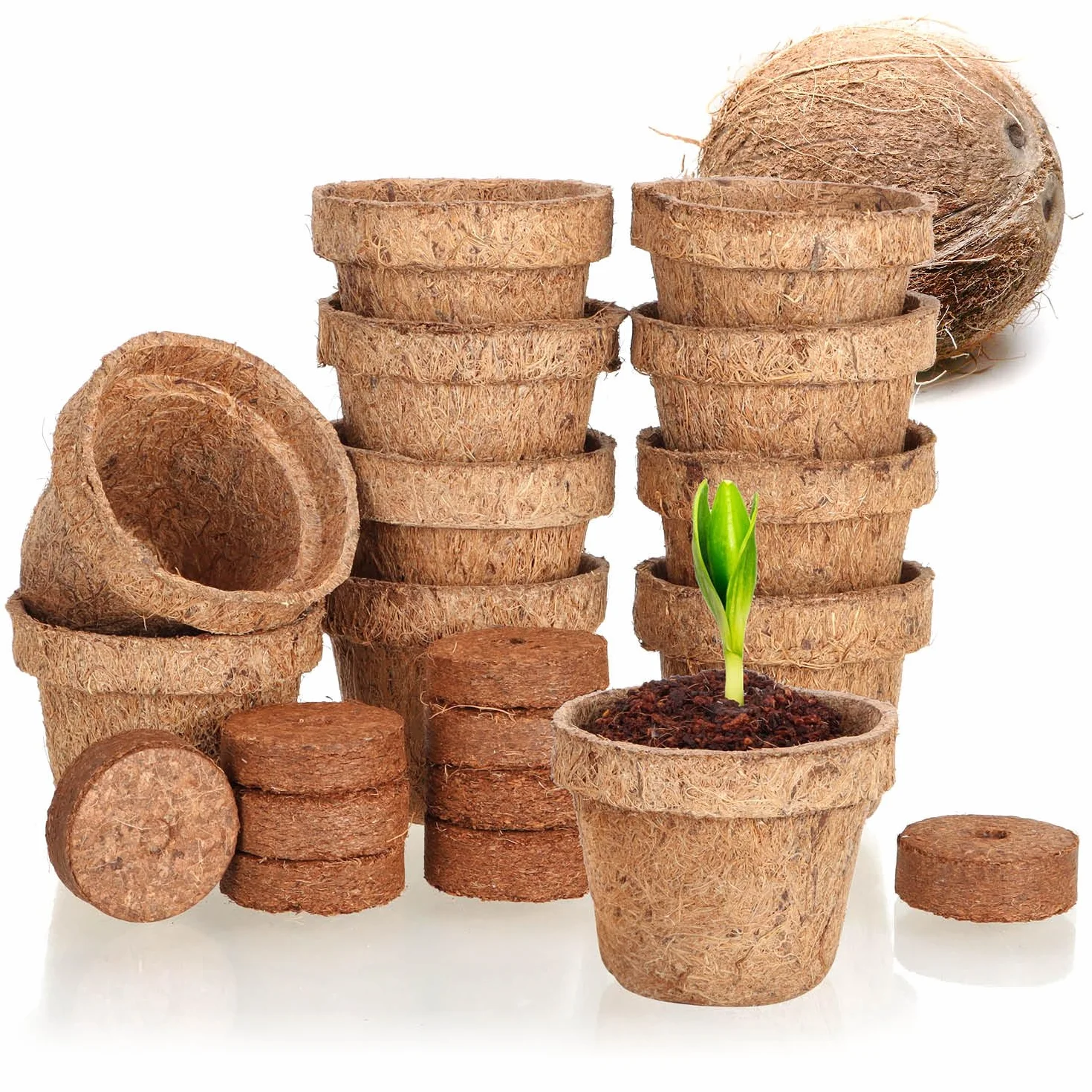 Kit de Culture de Noix de Coco 20 pièces - Disques de Noix de Coco Biodégradables avec Pot et Languettes Gonflantes