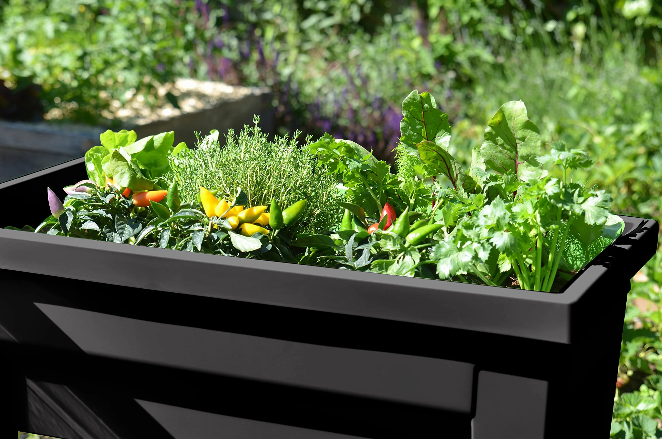 Espace Potager Veg&Table City 57 L Zone Rétention d'Eau 76 x 38,5 x 68 cm Gris anthracite