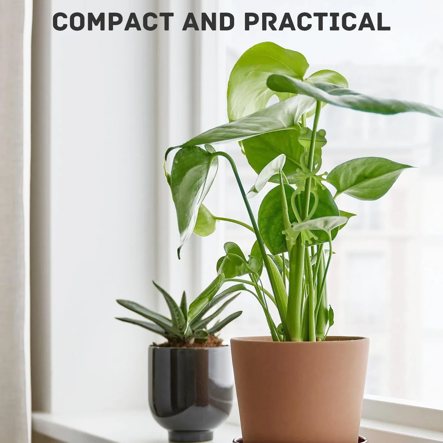 Support de Plantes Grenouille 5 Pièces Vert pour Jardin et Plantes en Pot