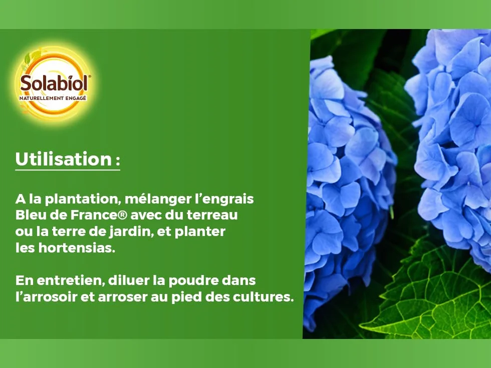 SOLABIOL Engrais Bleu De France 500g Spécial Hortensias Bleu Engrais Soluble Formule Concentrée