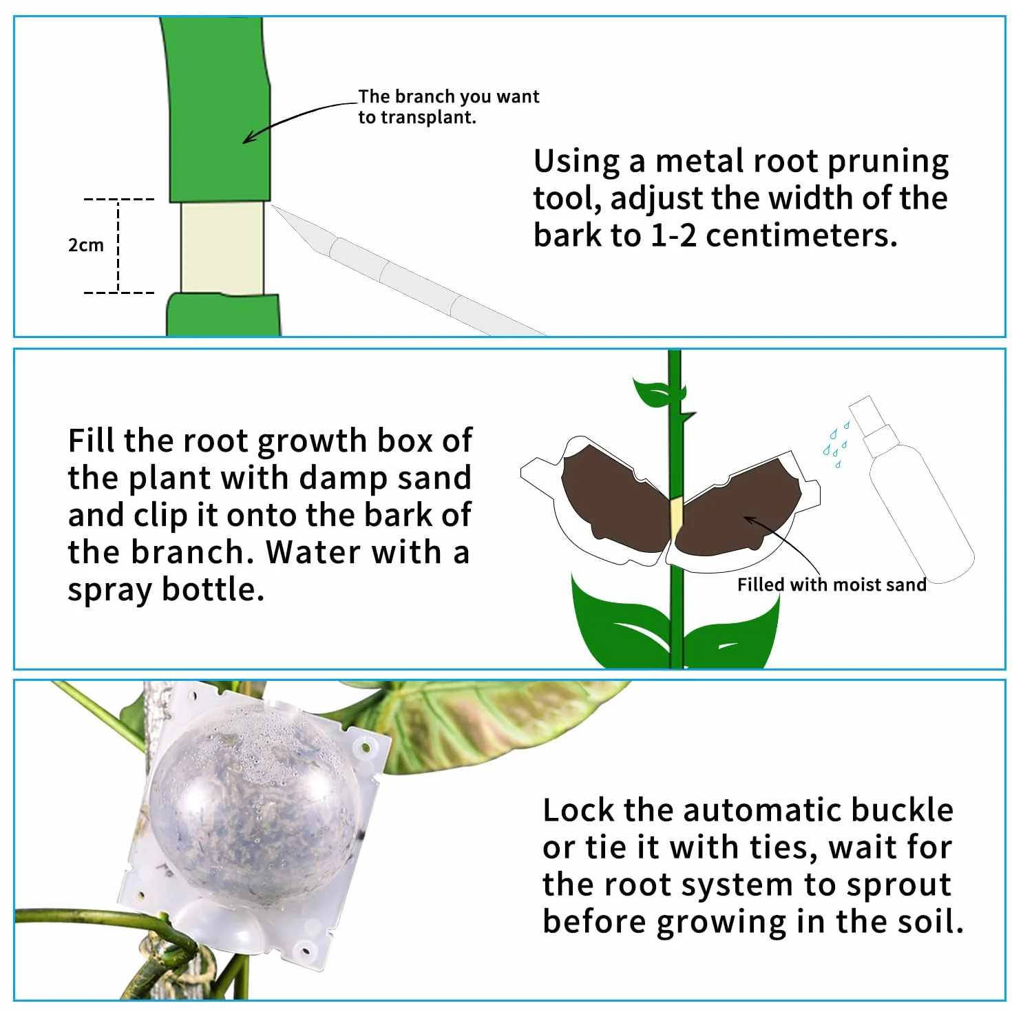 Lot de 12 Boîtes d'Enracinement de Plantes Transparentes avec Serrures et Pulvérisateur