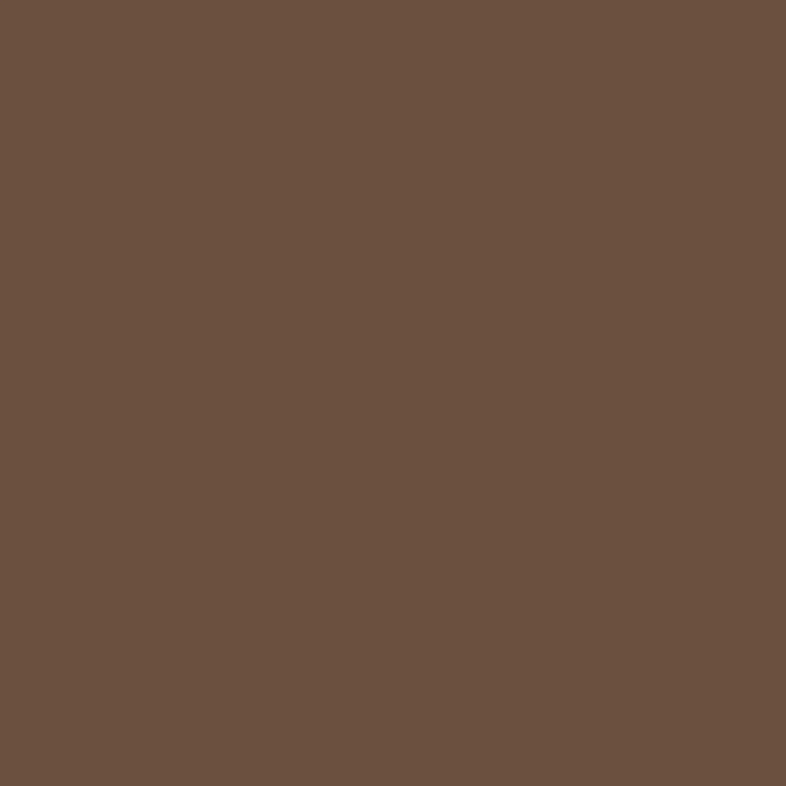 Julien Peinture Bois Microporeux Extérieur Satin - Portes, fenêtres, portails, mobilier de jardin - Brun Normandie 0,5 L