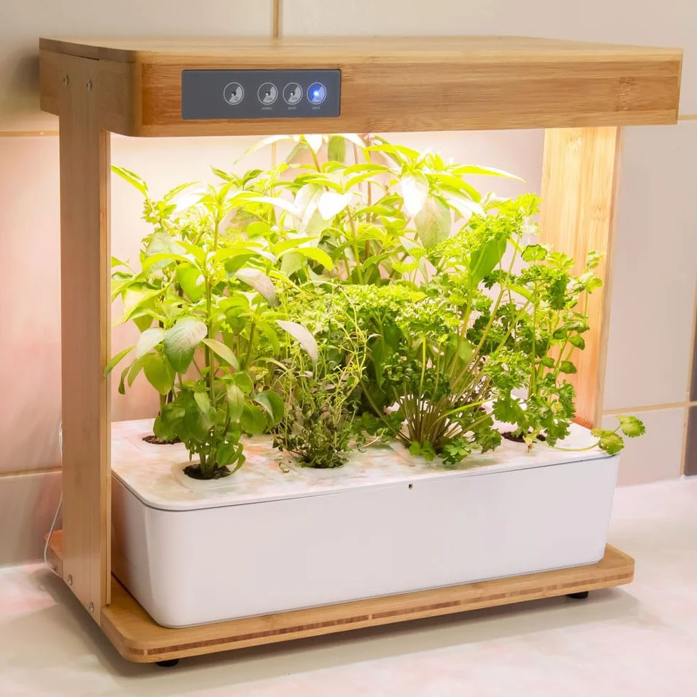 Potager d'Intérieur Hydroponique Bamboo 1 8 Emplacements pour Plantes Aromatiques