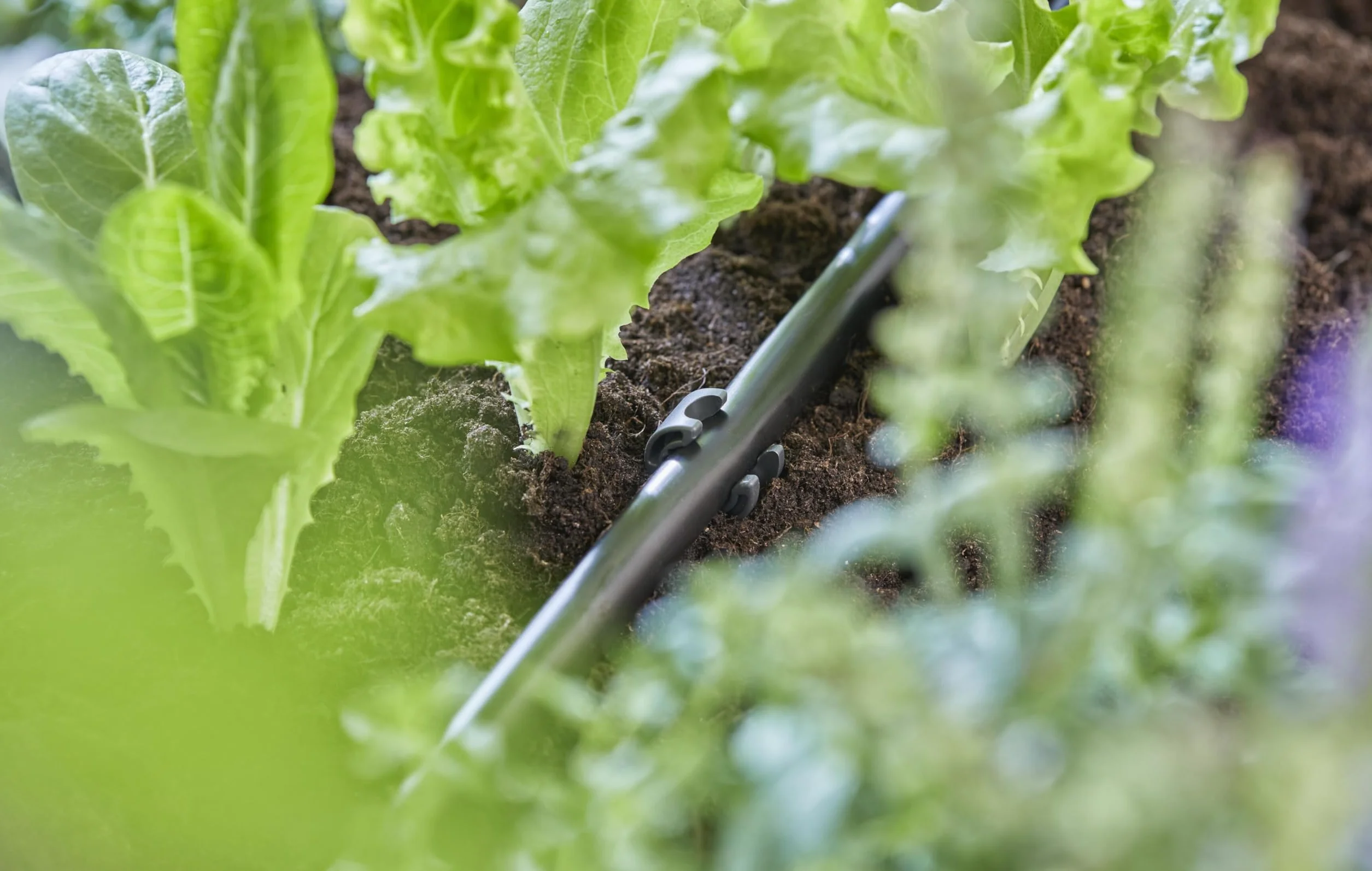 Gardena Micro-Drip-System support de tuyau 13 mm 1/2 pouce 10 pièces