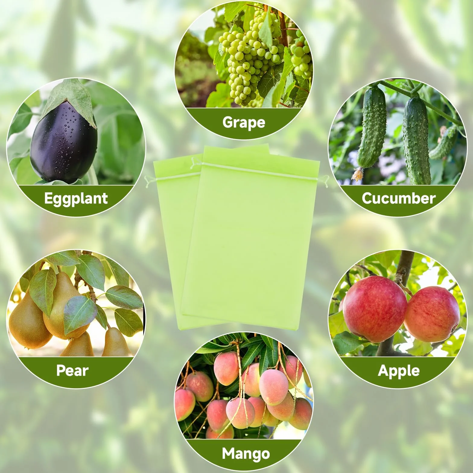 KINGLAKE 50 Pièces 15x20cm Sachet Protection Raisin Fruits Verts avec Cordon Sac Aéré Transparent Organza Empêcher Guêpes Drosophile Oiseaux