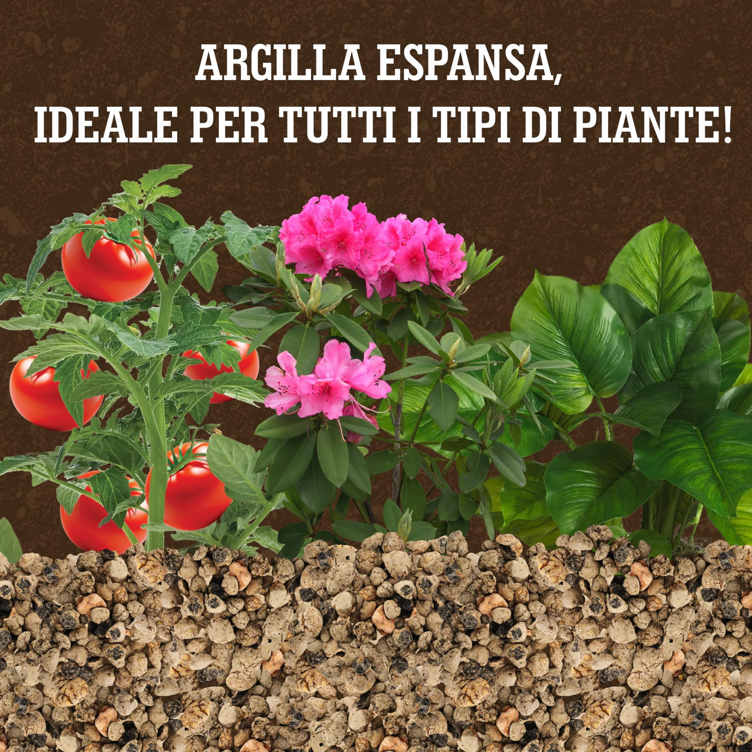 Billes d'argile LERAVA 1L - Substrat naturel léger pour plantes d'intérieur - Drainage optimal et décoration végétale - Made in Italy