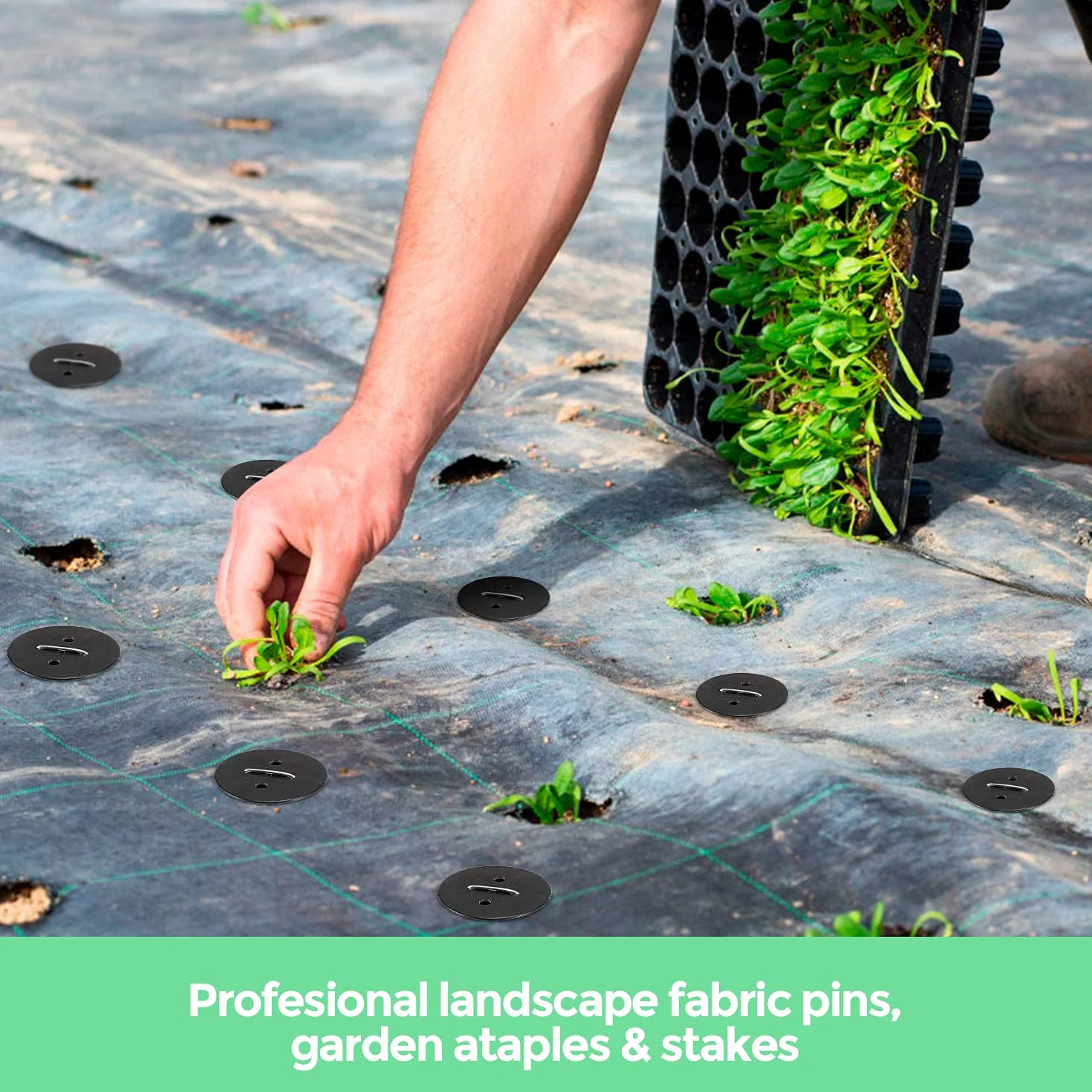 EDIESI Sardines de Fixation Acier 150x40x3mm 50 Pièces pour Jardin, Paillis, Gazon Artificiel