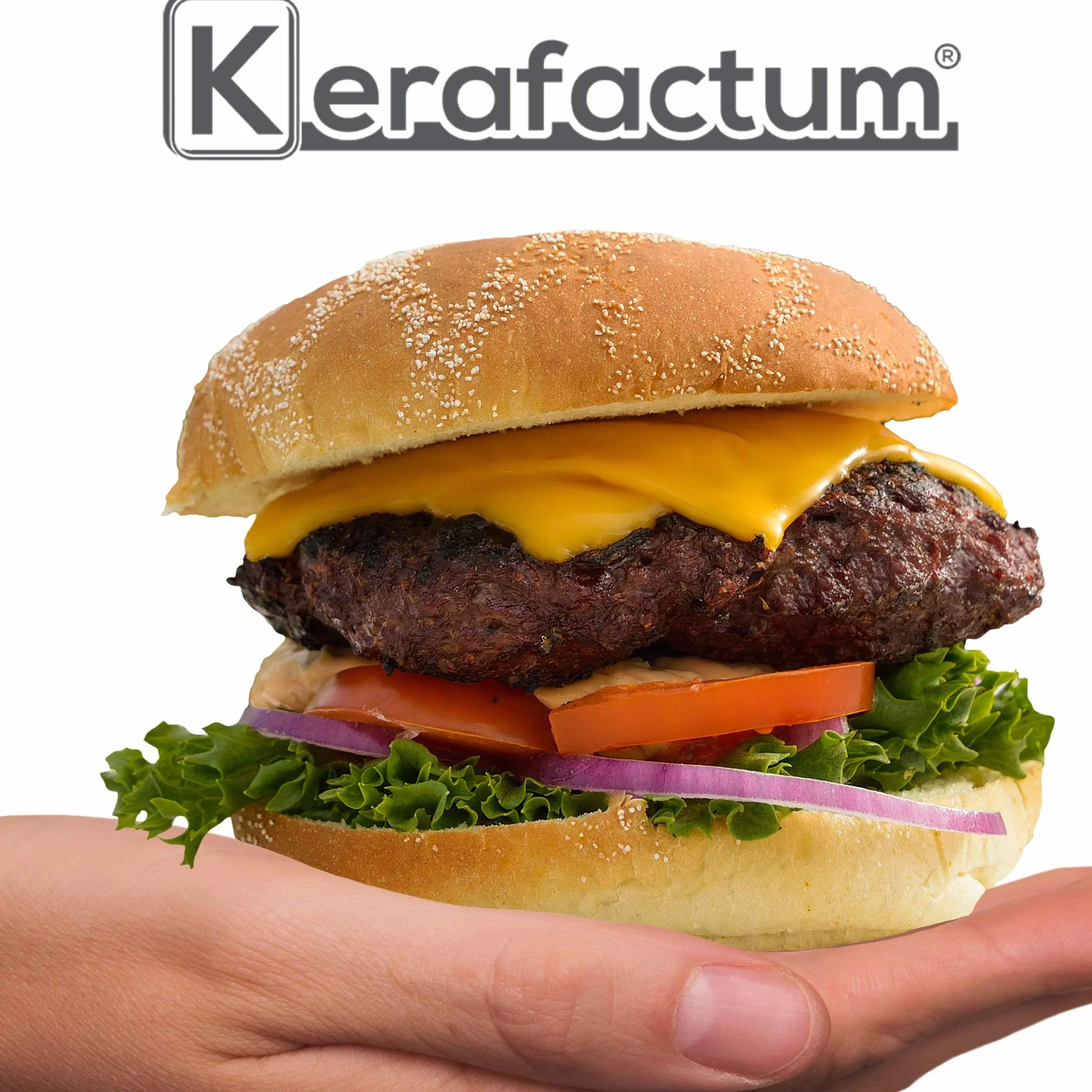 Cloche à hamburger en acier inoxydable noir Kerafactum