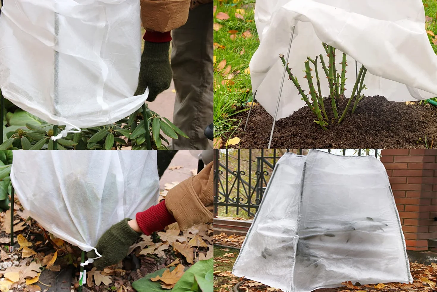 Housse Hivernage Plante 80x60cm Protection Plantes Réutilisable 2 Pack