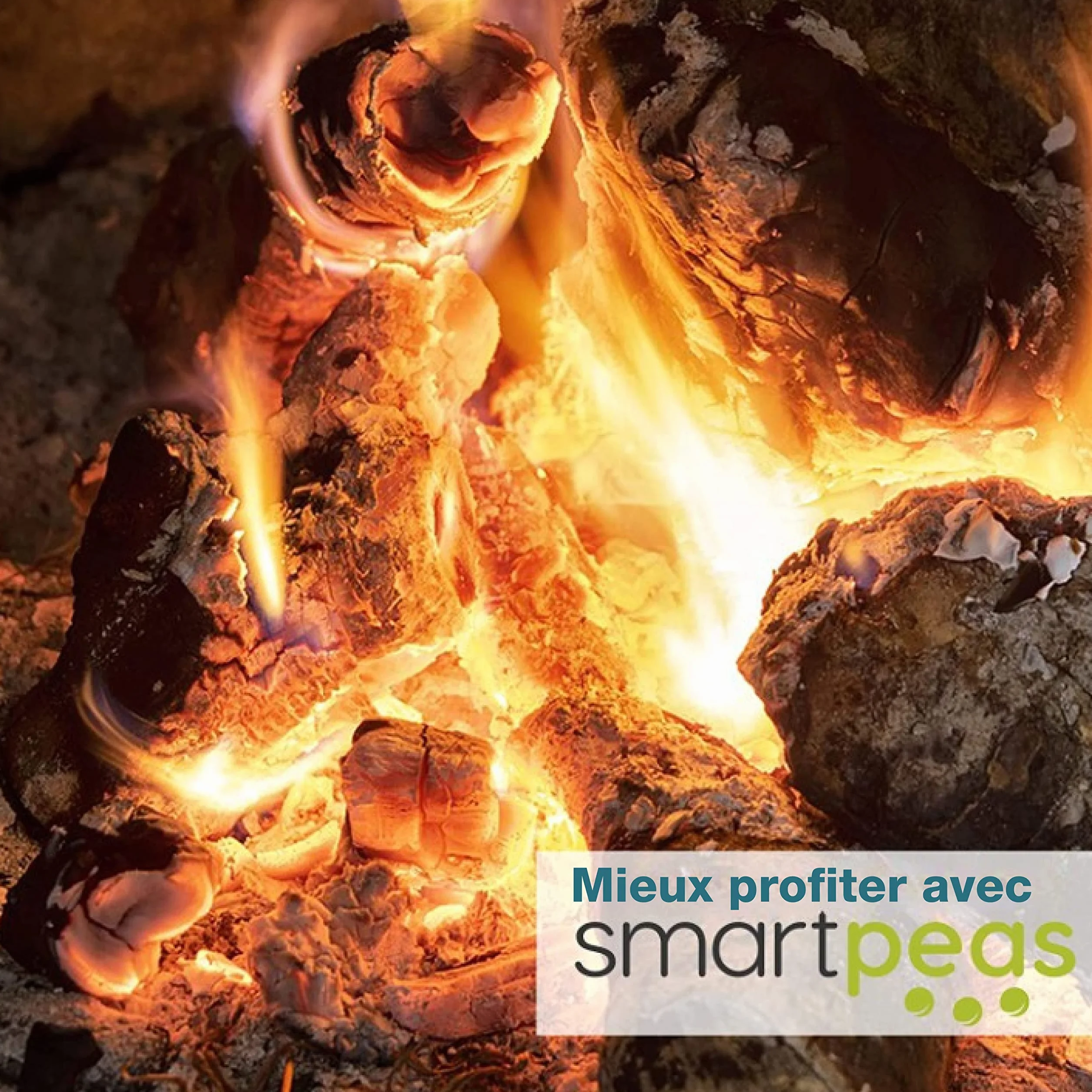 Planche à saumon ignifuge en bois de bouleau avec support en acier inoxydable inclinable et gants en silicone