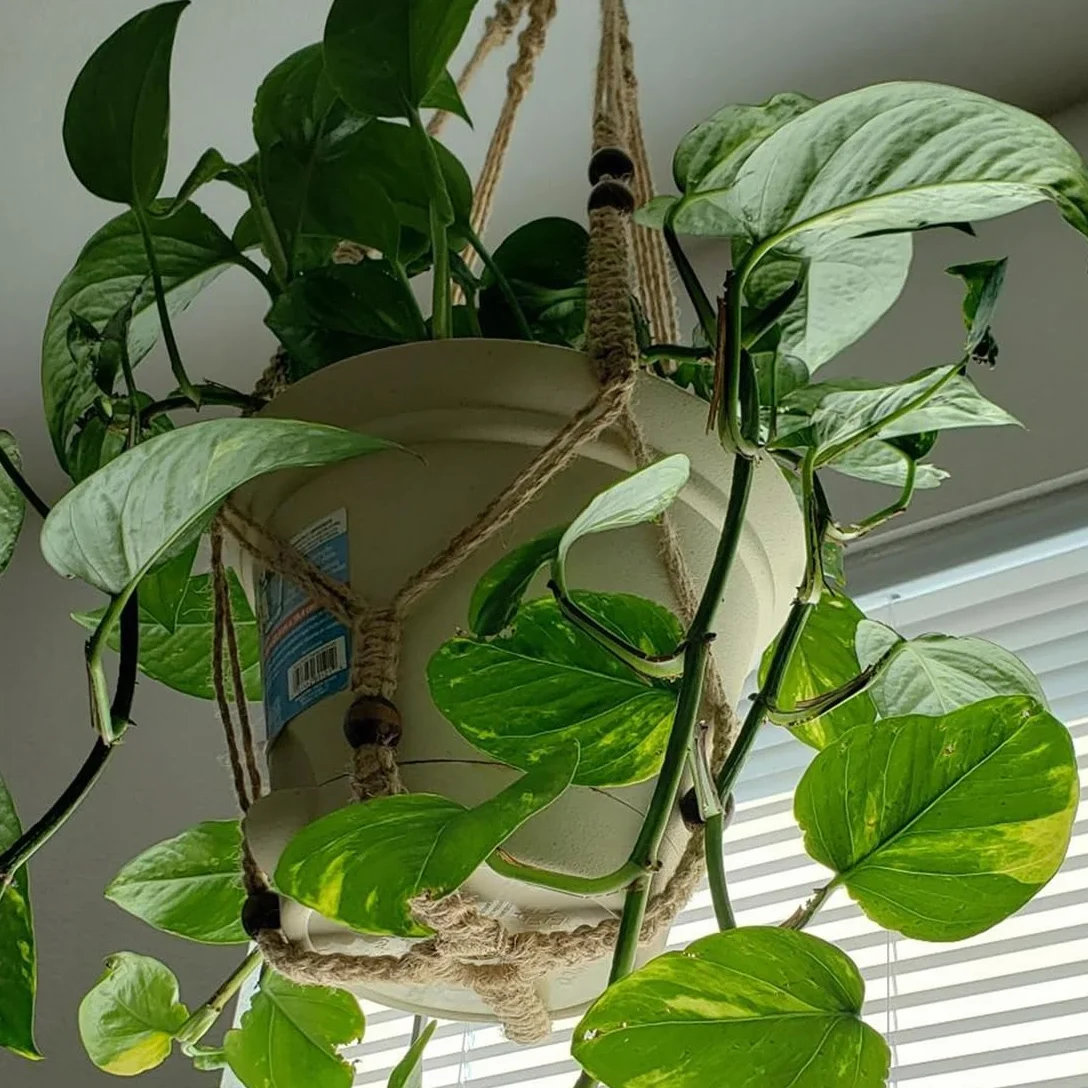 Macramé Support Pots Suspension Plante avec Perles 89cm