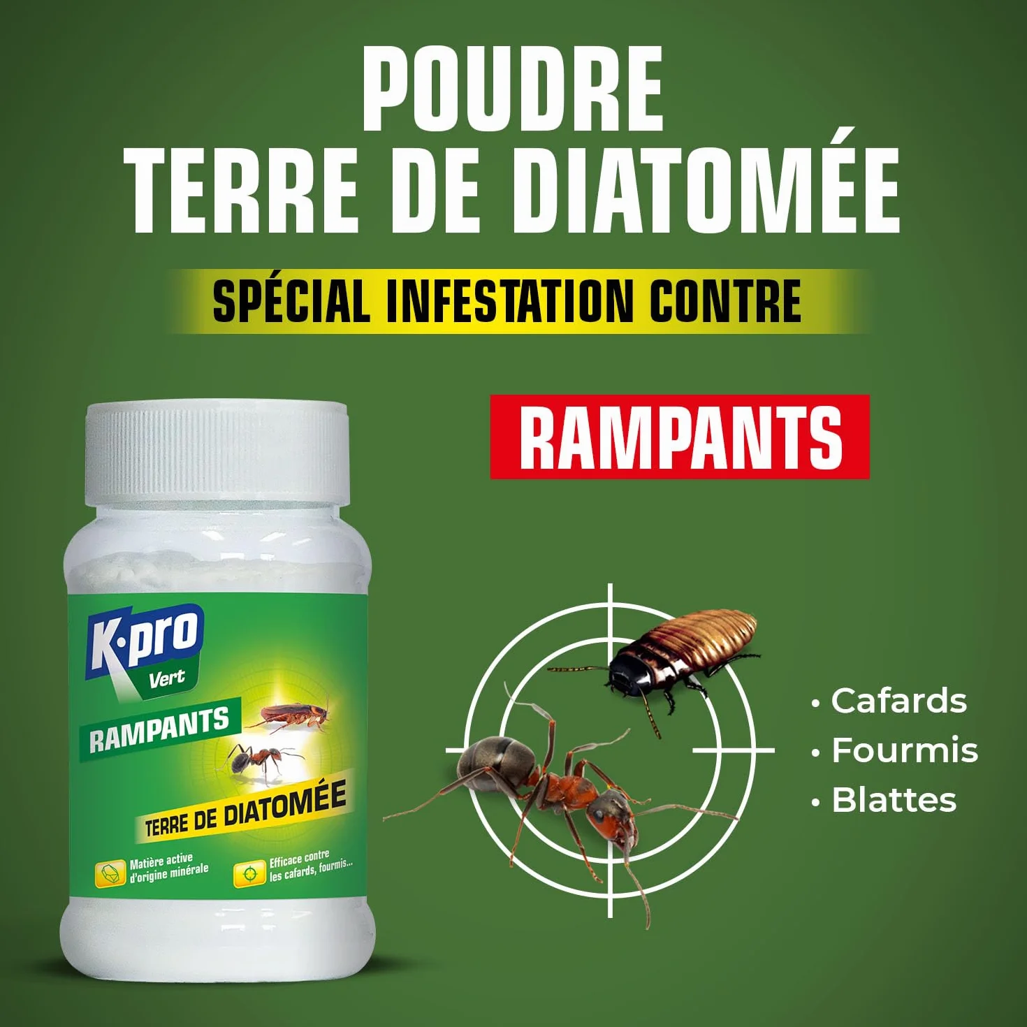 Terre de Diatomée Punaises de Lit Poudre 100g Naturel Élimine Fourmis Cafards Blattes Puces
