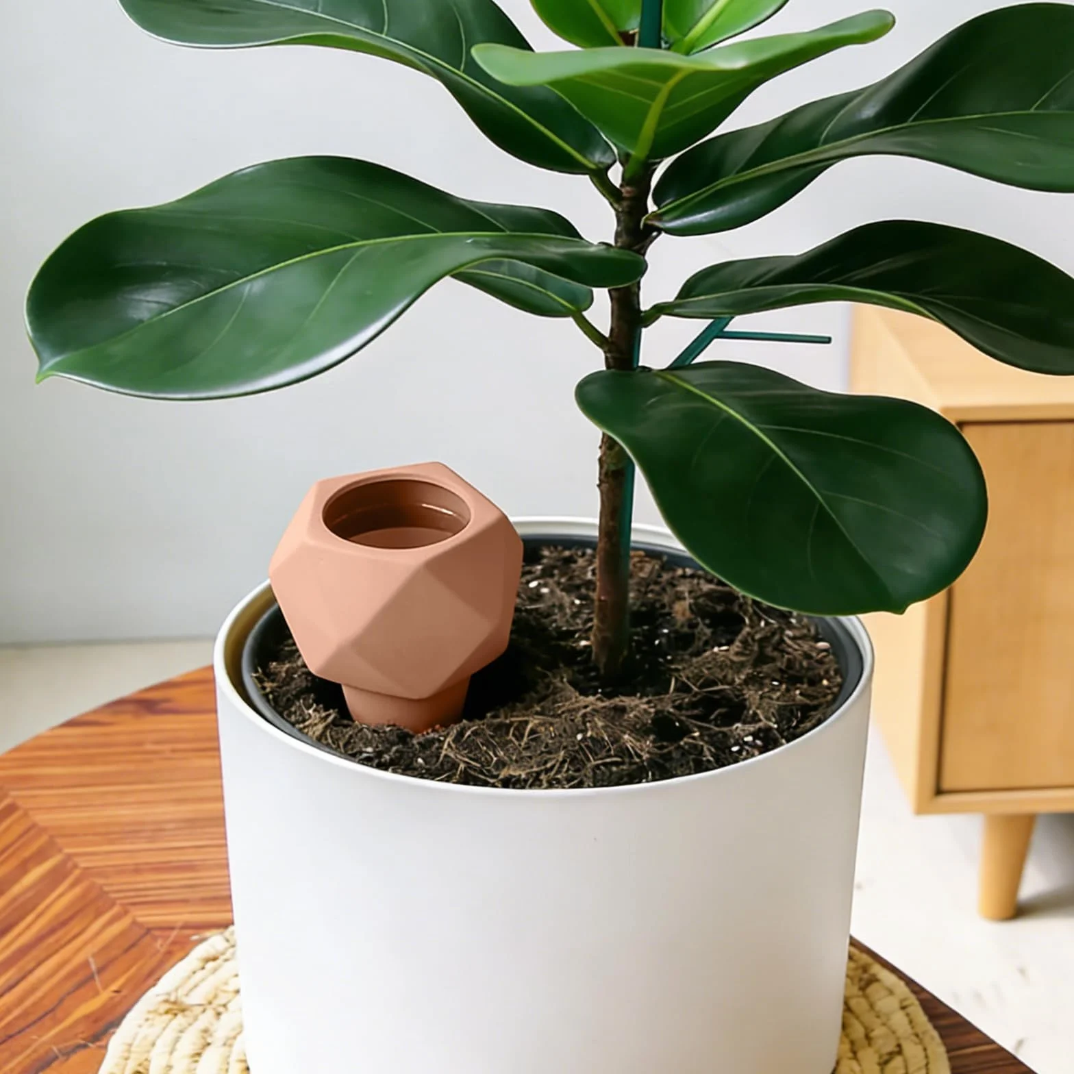EXLECO Oyas Arrosage Automatique 8×366ml Cône Polygonal Olla pour Plantes Intérieur Jardin