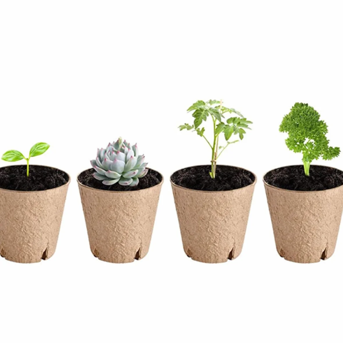 BESPORTBLE 20 pièces Pots De Germination pour Plantes Godets De Jardinage avec Drainage