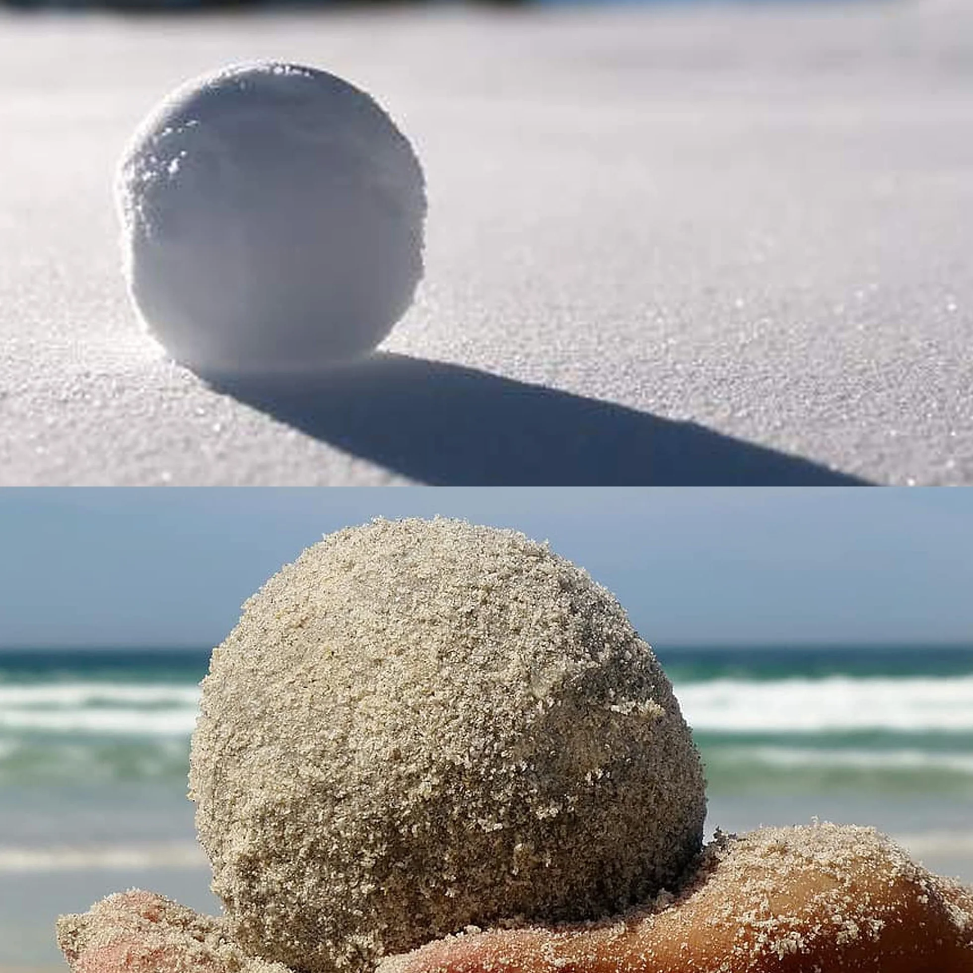 Prosperplast Pince à boules de neige