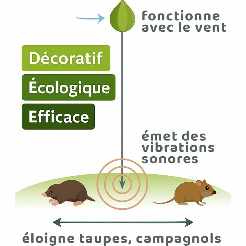 Iriso Chasse Taupe Naturel Rouge