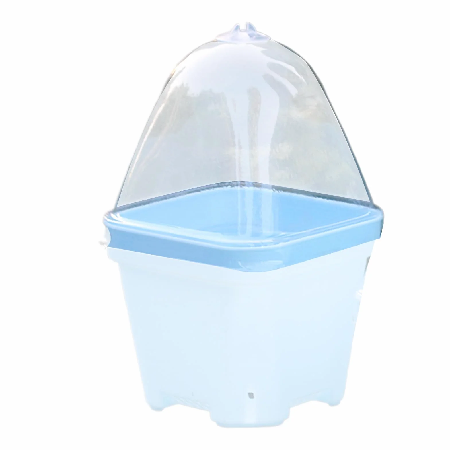 Cloche Végétale Transparente 10x Couvercle d'Isolation Thermique Mini Serre de Protection