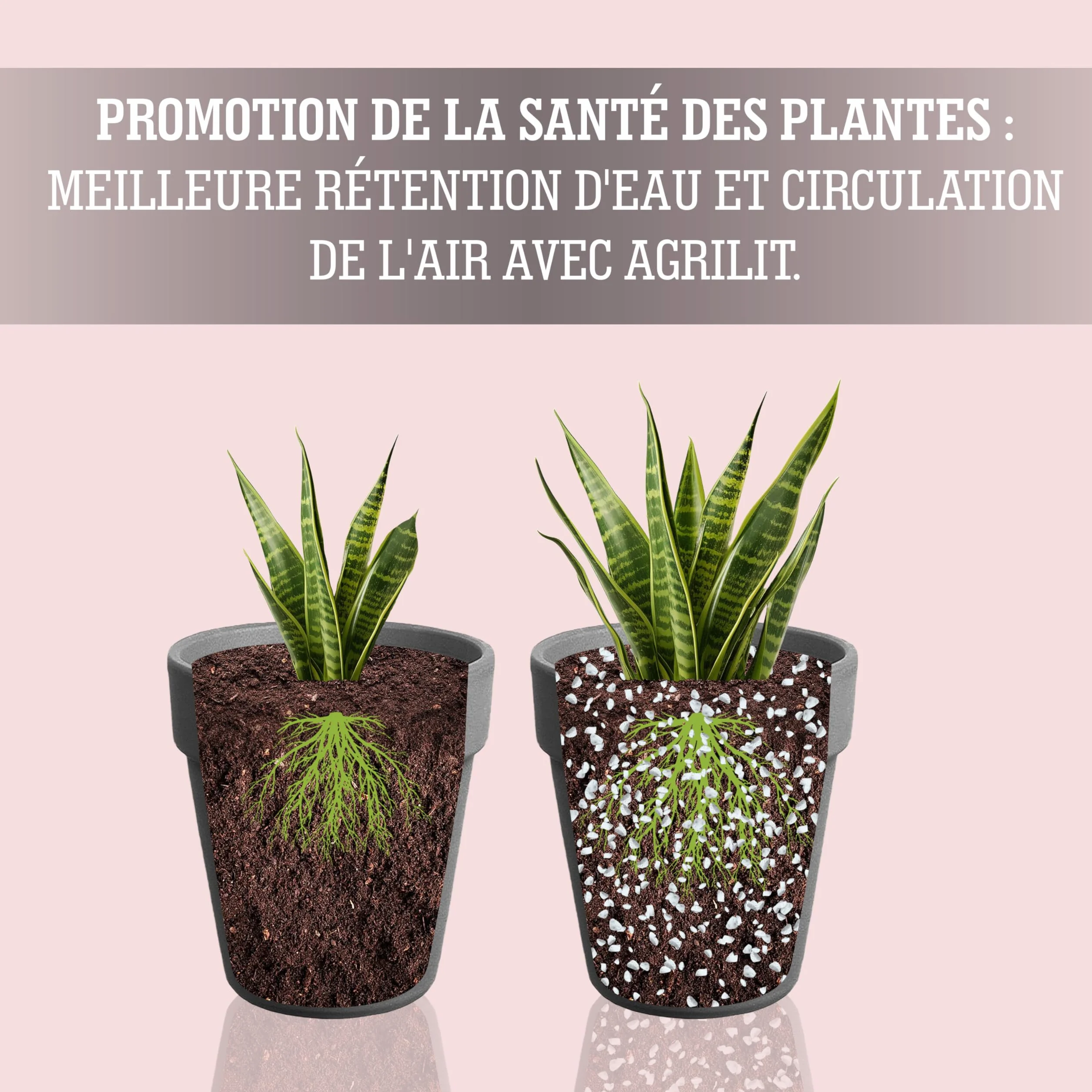 Perlite pour Plante 3 L - Drainage du terreau intérieur - Aération optimale - Jardin Balcon