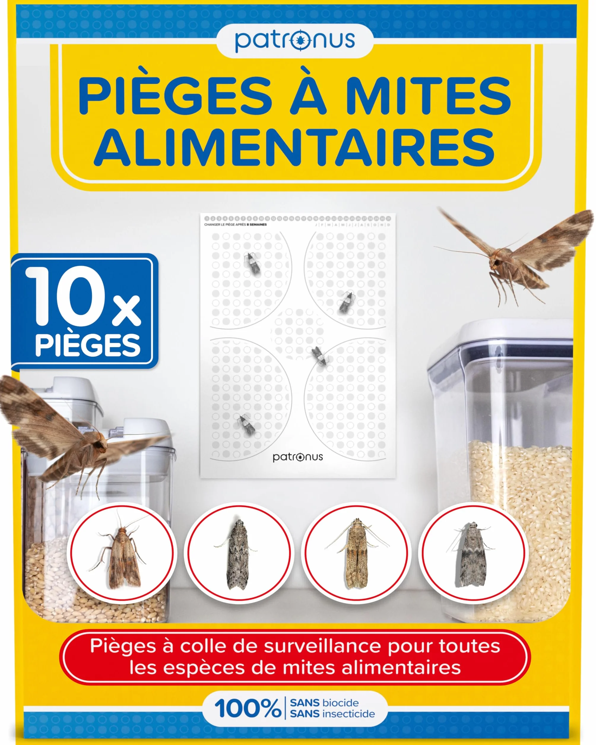 Piège à Mites Alimentaires 10 Pièces - Piège à Phéromones avec Colle Haute Performance Contre Les Mites Alimentaires