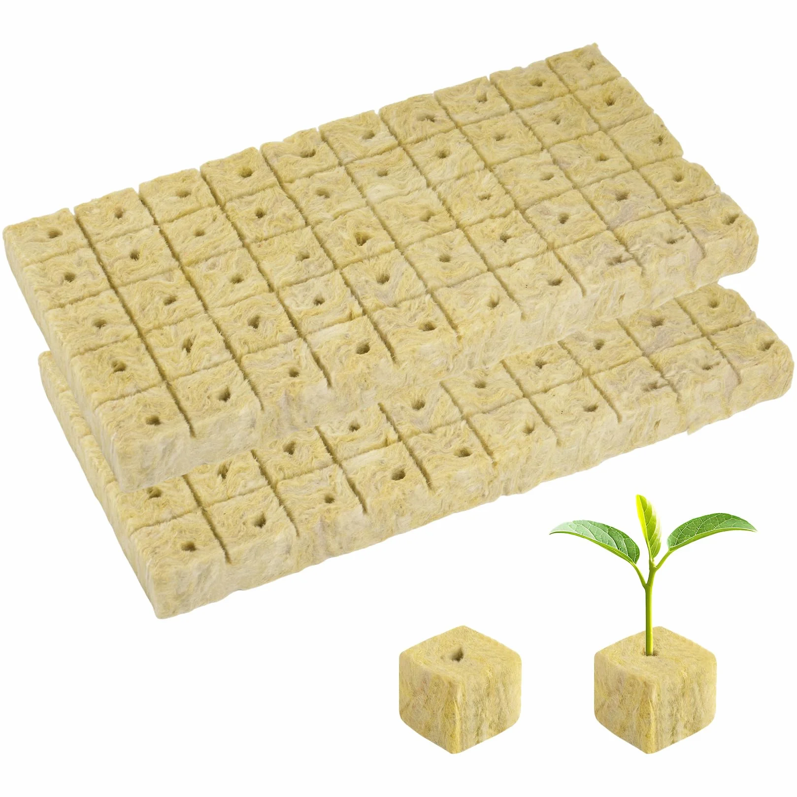 Cubes de Laine de Roche 50 Alvéoles 25x25x25 mm pour Culture Hydroponique
