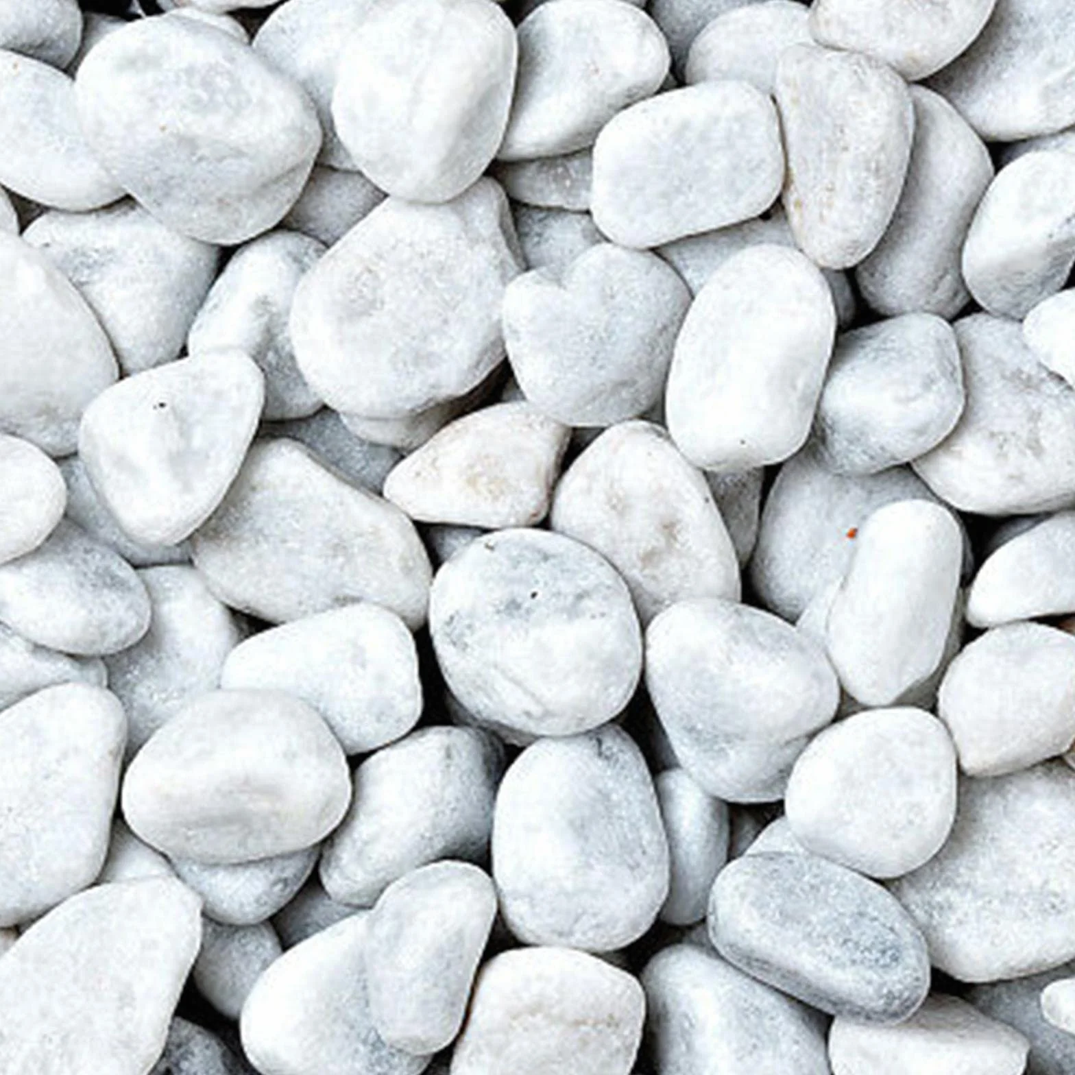 Galets blancs de jardin en marbre de Carrare 25 kg 25-40 mm pierres décoratives naturelles