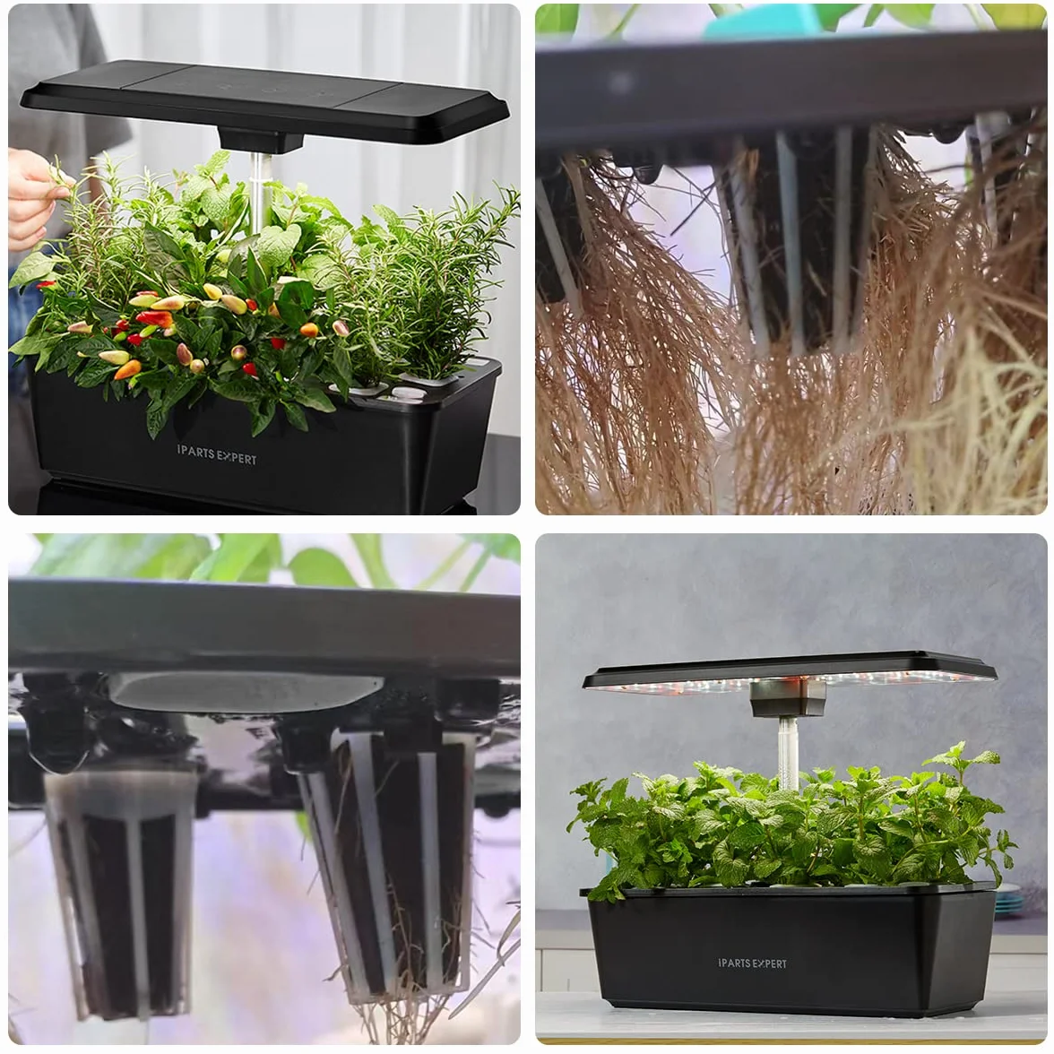 IPARTS EXPERT Lot de 50 éponges de culture hydroponique pour plantes d'intérieur
