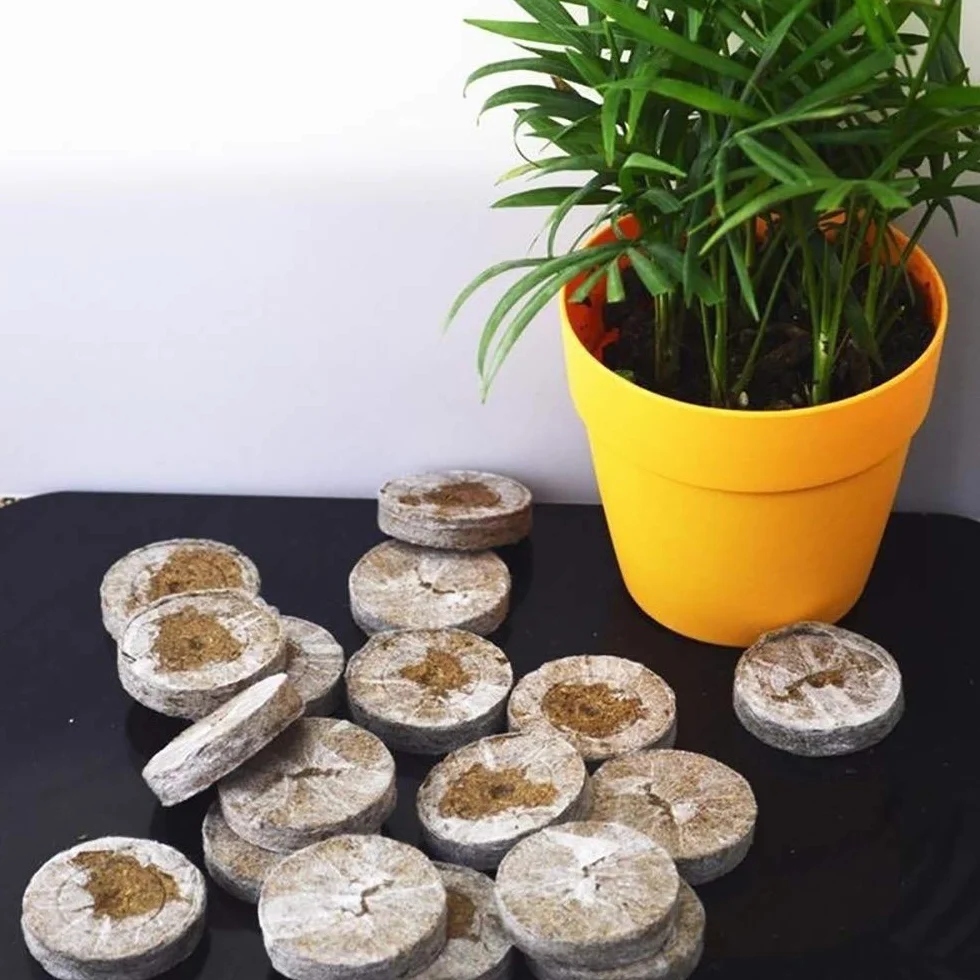 Pastille de Tourbe Compressée Granulés Bouchons Culture Plantes Jardinage 5 Pack