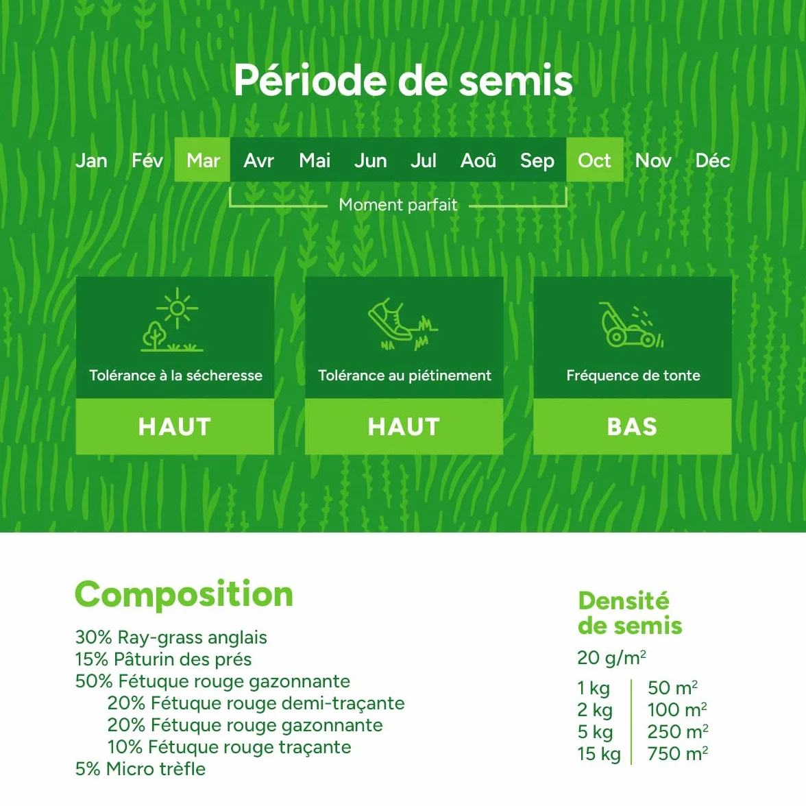 MRS Clover Lawn Semences de gazon micro-trèfle 1 kg 50 m² résistante sécheresse peu entretien ombragées