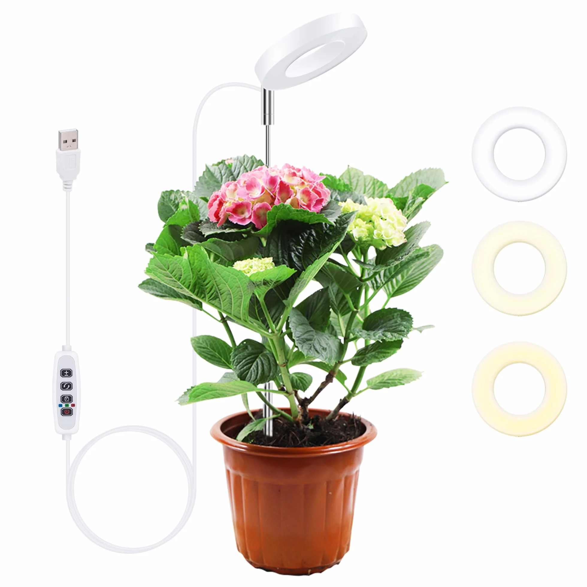 Mcbazel Lampe Plante LED Croissance 24 LED Spectre Complet Hauteur Réglable 61,5 cm Minuterie 4H/8H/12H 10 Niveaux Luminosité