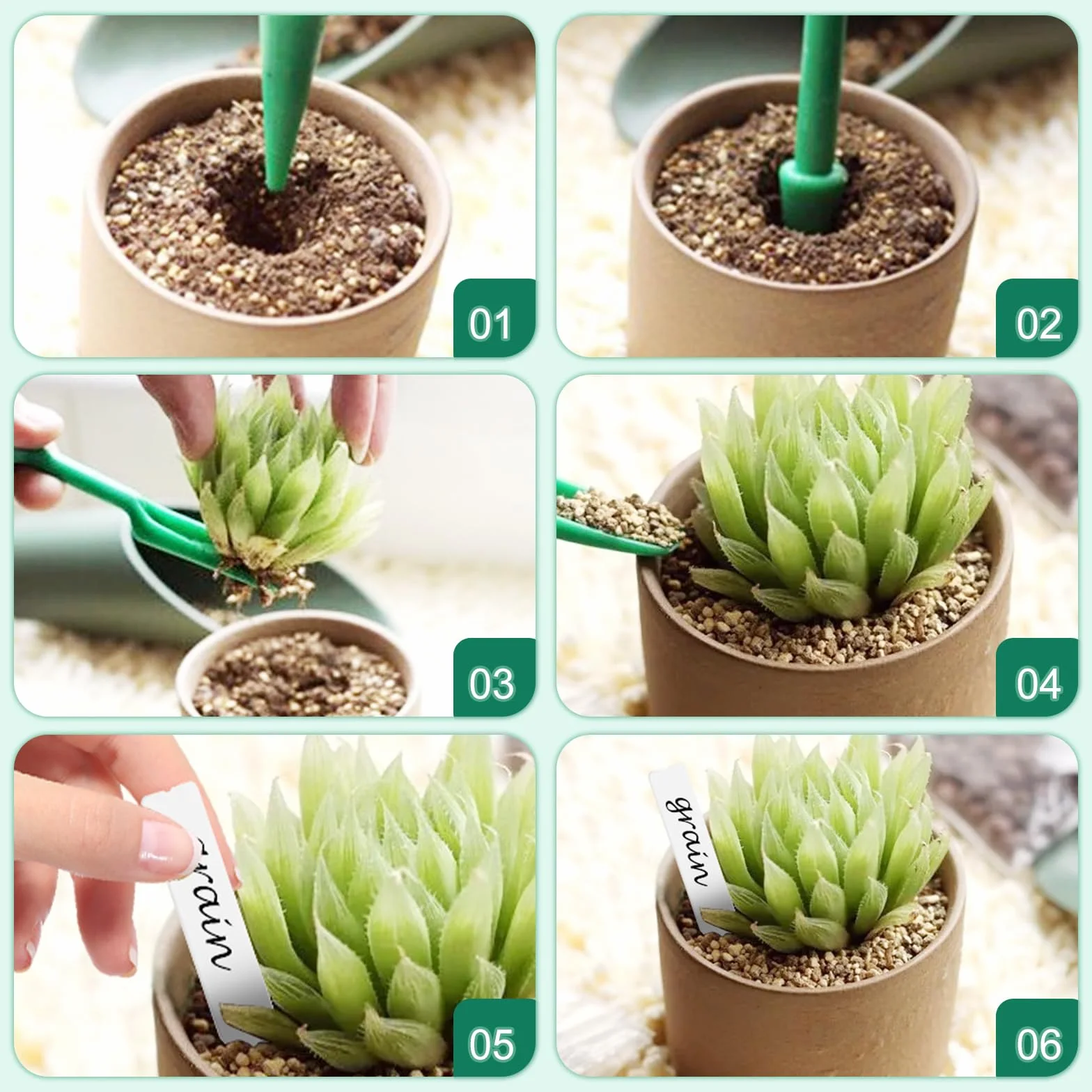 KEWUZY Mini Serre pour Plantes 5 Pièces Bac à Semis avec Couvercle Surélevé et Évents