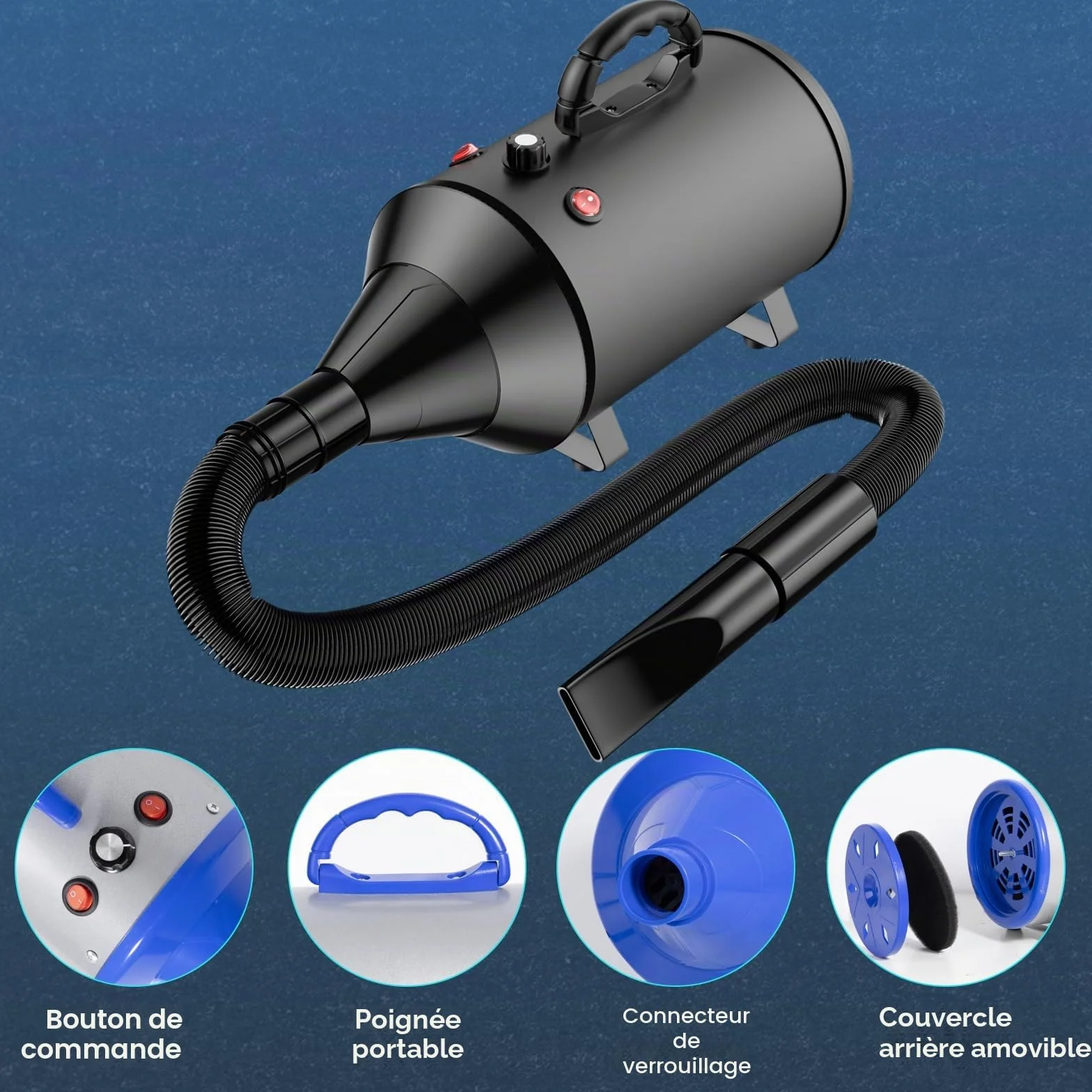 Sèche-Cheveux pour Chien Blower 5,2 CV 3800 W Moteur réglable avec 4 Buses
