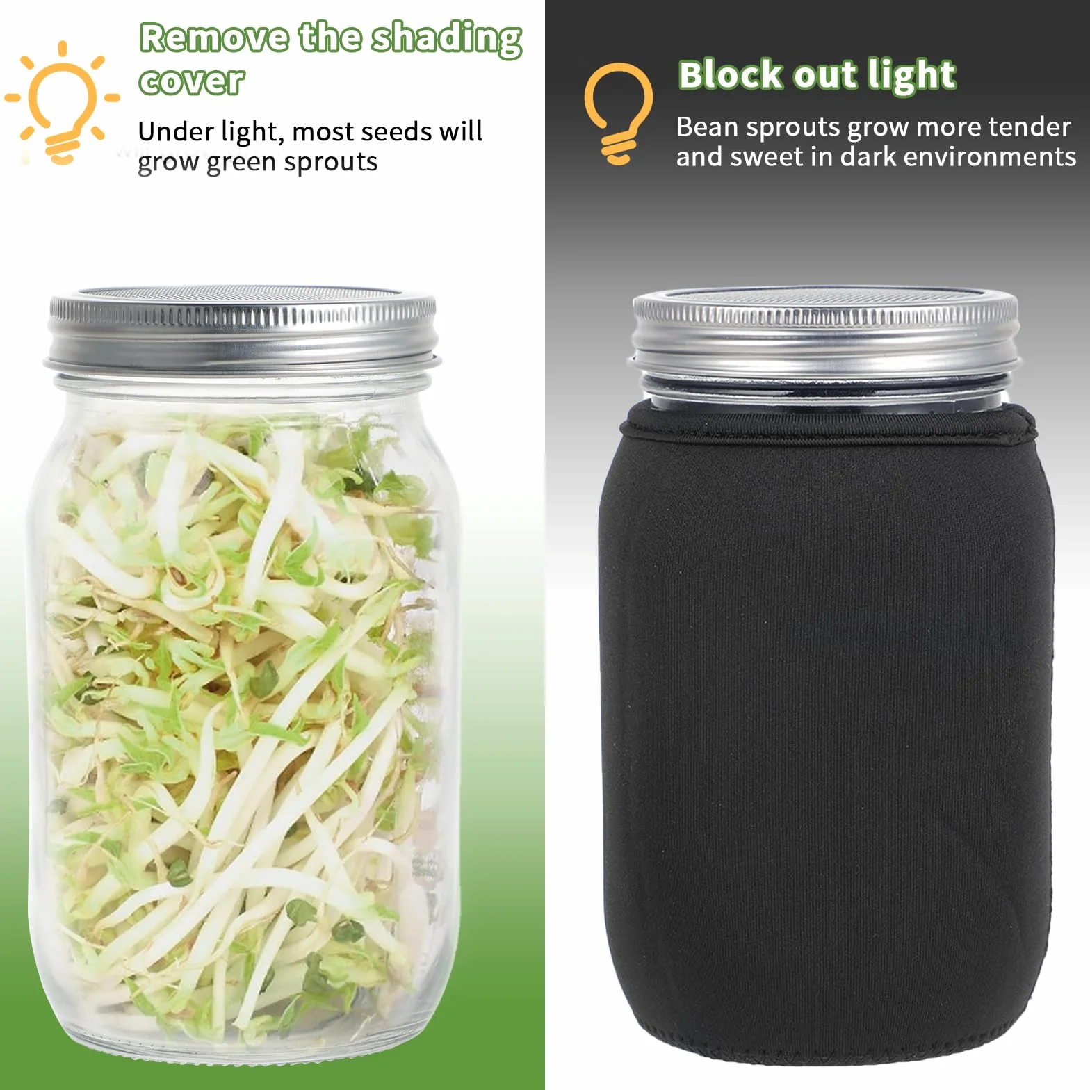 Germoir à Graines en Verre 32oz - Pot de Germination avec Couvercle Inoxydable, Support et Plateau - Pour Microgreens, Cuisine, Jardin (Noir)