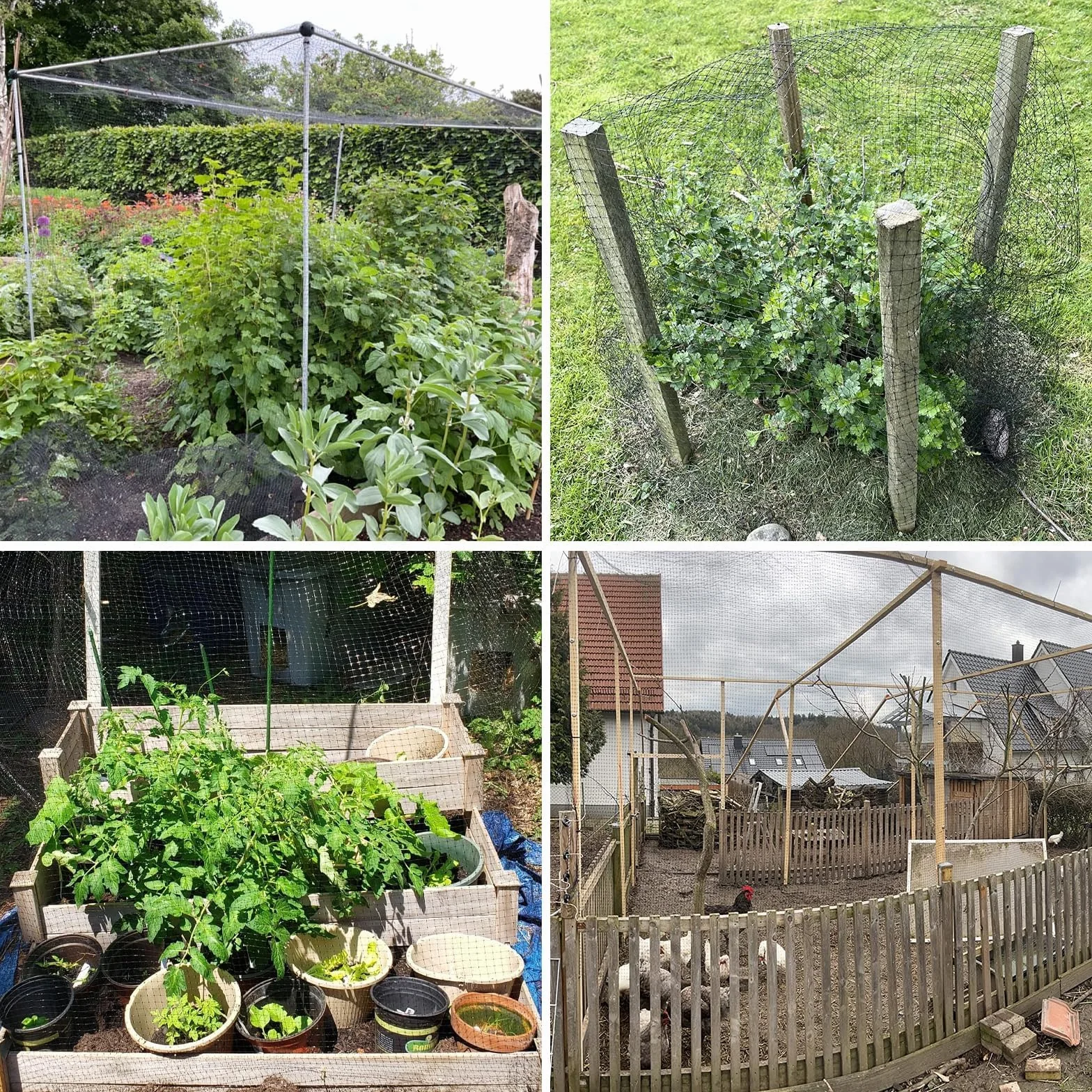 Filet Anti Oiseaux Arbre Fruitier 4 x 10m avec 50 Attache Câble Réutilisable