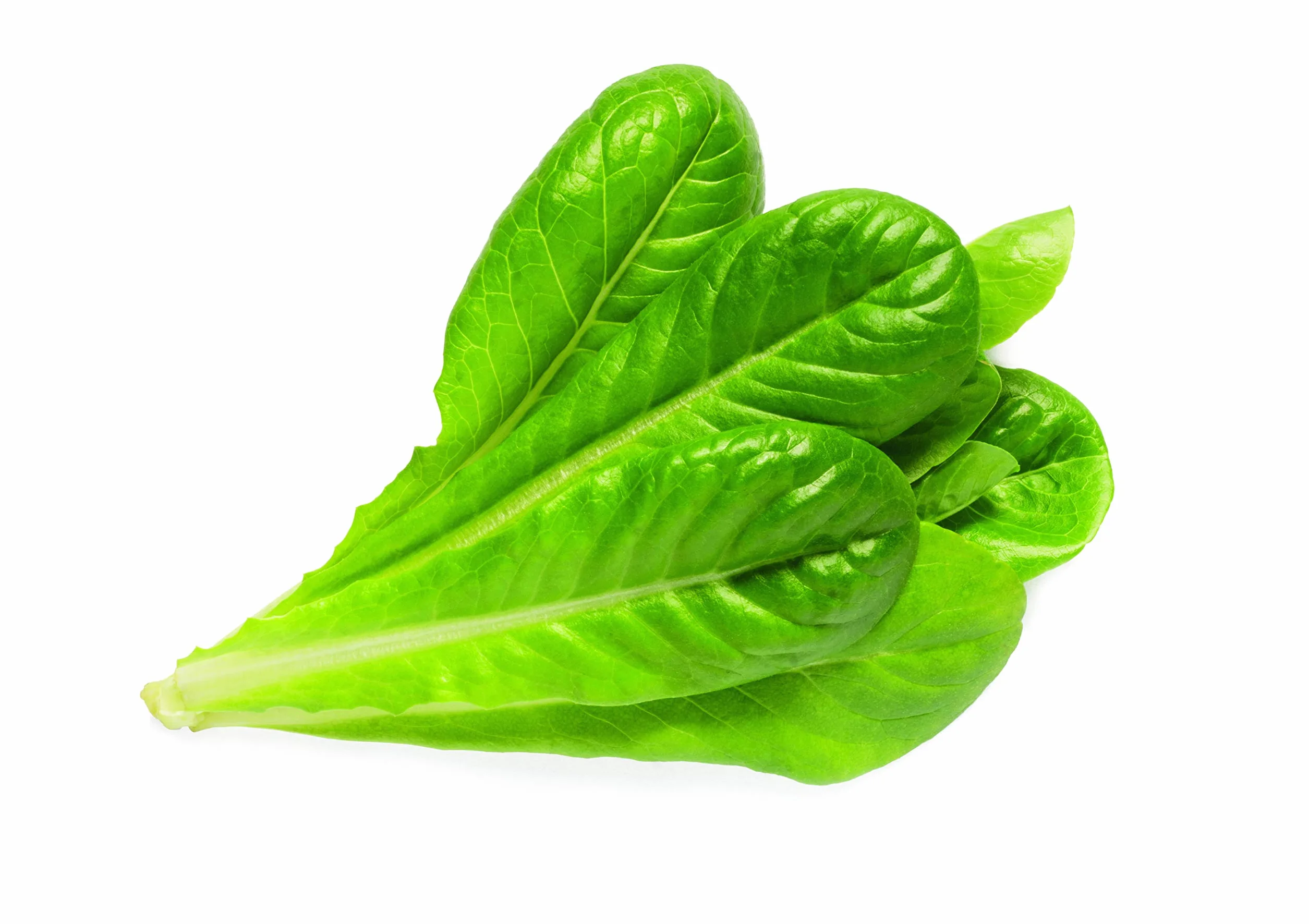 Click and Grow Smart Garden Lot de 3 gousses de laitue romaine