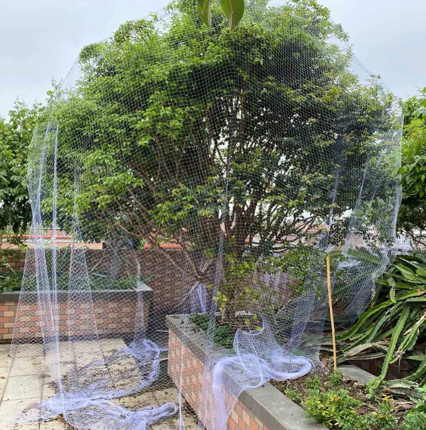 Filet Anti Oiseaux 3x10m Protection Réutilisable pour Volière Balcon Jardin Clôture