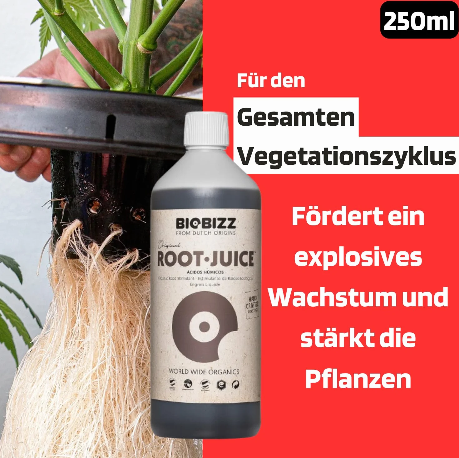 Biobizz Pack Démarrage Engrais Liquide pour Plantes Set de Croissance