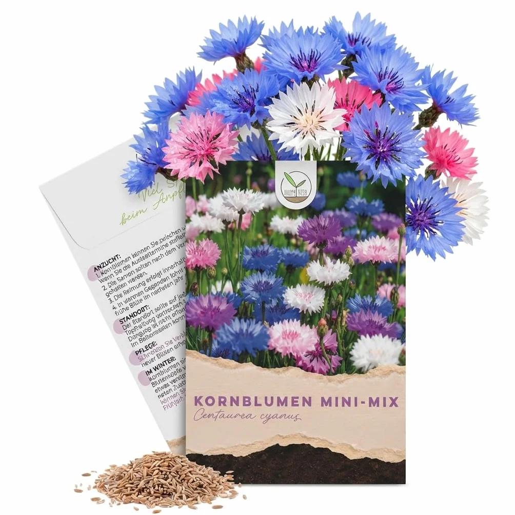 Graines de bleuets Centaurea cyanus Mini Mix 1000 graines 50 cm bac de balcon